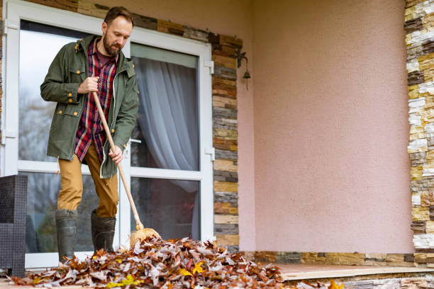 Best Affordable Junk Removal Services  in Mount Vernon, IN